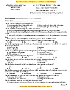 Đề Tốt nghiệp Sinh học 2024 theo đề tham khảo (Đề 2)
