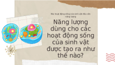 Bài giảng Powerpoint Hô hấp tế bào Sinh học - KHTN 7 Kết nối tri thức