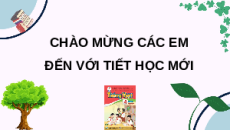 Giáo án Powerpoint Đọc: Tôn vinh sáng tạo Tiếng việt lớp 4 Cánh diều