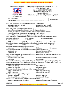 Đề thi thử Sinh học trường Chuyên Trần Phú - Hải Phòng năm 2023