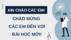 Giáo án Powerpoint Bài 24: Sinh thái học quần thể Sinh học 12 Kết nối tri thức