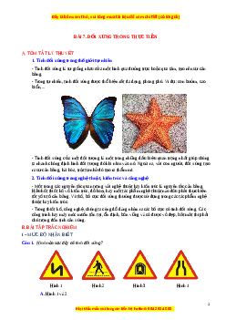 Chuyên đề Đối xứng trong thực tiễn Toán 6 Cánh diều