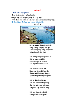 Bài tập cuối tuần Tiếng Việt lớp 5 Chân trời sáng tạo Tuần 25