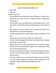 Giáo án Hệ tuần hoàn ở động vật Sinh học 11 Cánh diều