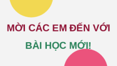 Giáo án Powerpoint Chuyên đề Bài 7: Kĩ thuật chăm sóc và nuôi dưỡng chó cảnh Công nghệ chăn nuôi 11 Kết nối tri thức