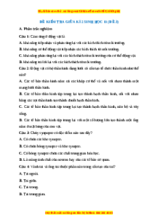 Đề thi giữa kì 2 Sinh học 11 Chân trời sáng tạo (Đề 3)