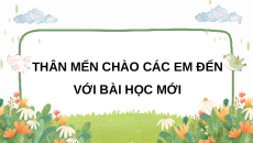 Giáo án Powerpoint Bài 19 Khoa học lớp 5 Cánh diều: Chức năng của môi trường đối với sinh vật