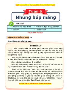 Bài tập cuối tuần Tiếng việt lớp 3 Tuần 6 Chân trời sáng tạo (có lời giải)