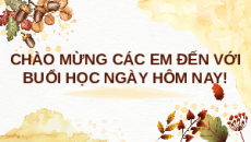 Giáo án Powerpoint Bài 26: Khóa lưỡng phân KHTN 6 Kết nối tri thức