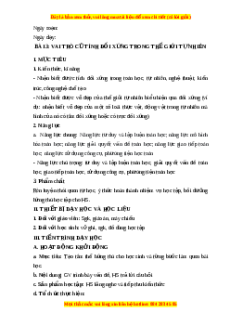Giáo án Vai trò của tính đối xứng trong thế giới tự nhiên Toán 6 Chân trời sáng tạo