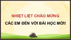 Bài giảng Powerpoint Công nghệ chăn nuôi 11 Kết nối tri thức