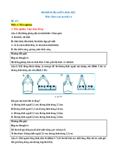 Bộ 11 đề thi giữa kì 1 KHTN 6 Kết nối tri thức Cấu trúc mới