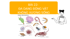 Giáo án Powerpoint Bài 22: Đa dạng động vật không xương sống KHTN 6 Cánh diều