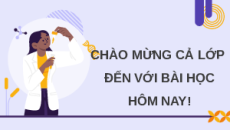 Giáo án Powerpoint Bài 13: Di truyền học người và di truyền y học Sinh học 12 Kết nối tri thức