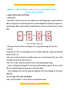 Lý thuyết Sinh học 10 Chân trời sáng tạo Bài 18: Chu kỳ tế bào