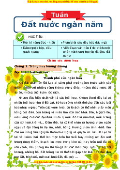 Bài tập cuối tuần Tiếng việt lớp 3 Tuần 30 Kết nối tri thức (có lời giải)