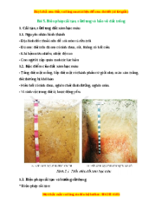 Lý thuyết Công nghệ 10 Trồng trọt Cánh diều Bài 5: Biện pháp cải tạo, sử dụng và bảo vệ đất trồng