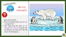 Giáo án Powerpoint Bài 19: Châu Nam Cực Địa lí 7 Kết nối tri thức