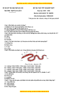 Đề thi thử tốt nghiệp Sinh học trường THPT Kim Liên năm 2024