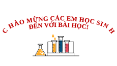 Giáo án Powerpoint Bài mở đầu KHTN 9 Cánh diều: Học tập và trình bày báo cáo khoa học