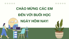 Giáo án Powerpoint Ôn tập chương 7 Công nghệ 12 Kết nối tri thức