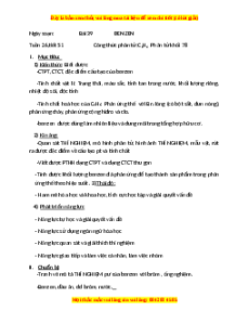 Giáo án Benzen Hóa học 9