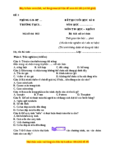 Đề thi cuối kì 2 Tin học 8 Kết nối tri thức (Đề 3)