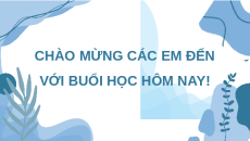 Giáo án Powerpoint chuyên đề Bài 10: Giới thiệu chung về cá cảnh Công nghệ Lâm nghiệp thủy sản 12 Kết nối tri thức