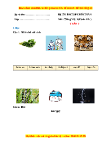Bài tập cuối tuần Tiếng việt lớp 1 Tuần 9 Cánh diều (có lời giải)