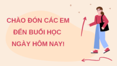 Giáo án Powerpoint Bài 27 Khoa học lớp 5 Chân trời sáng tạo: Ôn tập chủ đề Con người và sức khoẻ