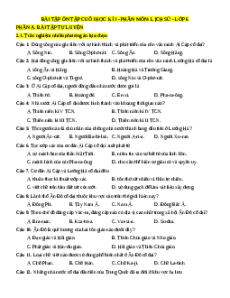 Bài tập ôn tập Cuối kì 1 Lịch sử 6 cấu trúc mới (dùng chung cả 3 sách)