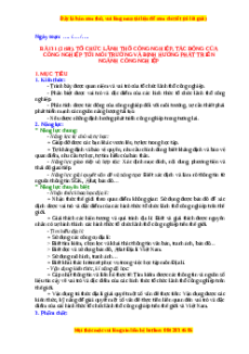 Giáo án Bài 31 Địa lí 10 Chân trời sáng tạo (2024): Tổ chức lãnh thổ công nghiệp, tác động của công nghiệp tới môi trường và định hướng phát triển công nghiệp