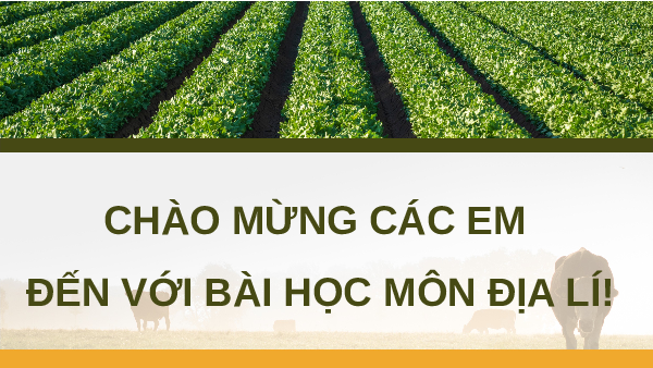 Giáo án Powerpoint Bài 35 Địa lí 12 Kết nối tri thức: Thực hành