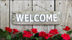 Giáo án Powerpoint Bài 15 Tự nhiên xã hội lớp 3 Chân trời sáng tạo: Lá, thân, rễ của thực vật