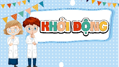 Giáo án Powerpoint Ôn tập chủ đề Con người và sức khỏe Khoa học lớp 4 Cánh diều