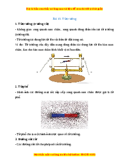 Lý thuyết Khoa học tự nhiên 7 Chân trời sáng tạo Bài 19: Từ trường