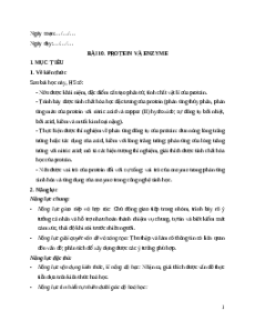 Giáo án Bài 10 Hóa học 12 Kết nối tri thức: Protein và enzyme