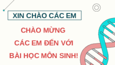 Giáo án Powerpoint Bài 9: Di truyền gene ngoài nhân Sinh học 12 Cánh diều