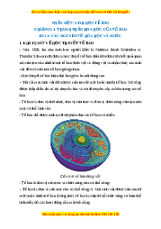 Lý thuyết Sinh học 10 Kết nối tri thức Bài 4: Các nguyên tố hóa học và nước