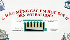 Giáo án Powerpoint Kim loại trong tự nhiên và phương pháp tách kim loại Hóa học 12 Kết nối tri thức