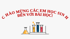 Giáo án Powerpoint Bài 16: Dãy hoạt động hoá học KHTN 9 Cánh diều