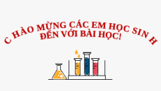 Giáo án Powerpoint Bài 16: Dãy hoạt động hoá học KHTN 9 Cánh diều