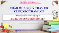 Giáo án Powerpoint Bài 15: Cơ quan tiêu hóa Tự nhiên xã hội lớp 3 Cánh diều