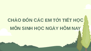 Giáo án Powerpoint Môi trường và các nhân tố sinh thái Sinh học - KHTN 8 Cánh diều