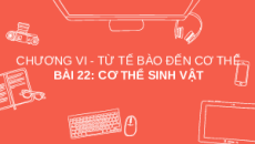 Giáo án Powerpoint Bài 22: Cơ thể sinh vật KHTN 6 Kết nối tri thức