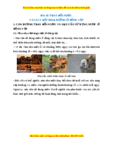 Lý thuyết Khoa học tự nhiên 7 Chân trời sáng tạo Bài 30: Trao đổi nước và các chất dinh dưỡng ở động vật