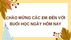 Giáo án Powerpoint Bài 10: Nuôi dưỡng và chăm sóc vật nuôi Công nghệ 7 Kết nối tri thức