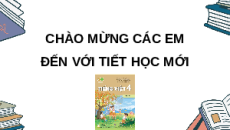 Giáo án Powerpoint Đọc: Bay cùng ước mơ (trang 109, 110) Tiếng việt lớp 4 Kết nối tri thức (Phiên bản 2)