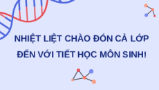 Giáo án Powerpoint Bài 16: Tương tác giữa kiểu gene với môi trường Sinh học 12 Kết nối tri thức