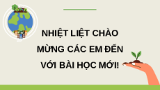 Giáo án Powerpoint Bài 29: Tác động của con người và một số biện pháp bảo vệ môi trường Khoa học lớp 5 Kết nối tri thức